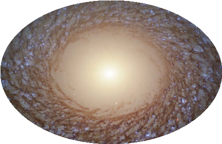 massively magnified image of huge 'galaxy' surrounding central golden brown oval with central bright white spot. The regions outside the central oval are crammed with countless points of faint blue light in small clusters, one of most striking if not beautiful heavenly images.